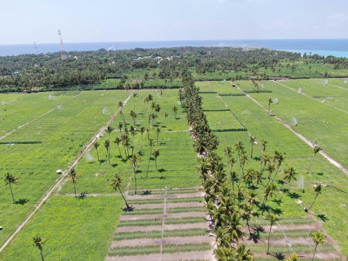 Thila Farm View Hotell Thoddoo Exteriör bild