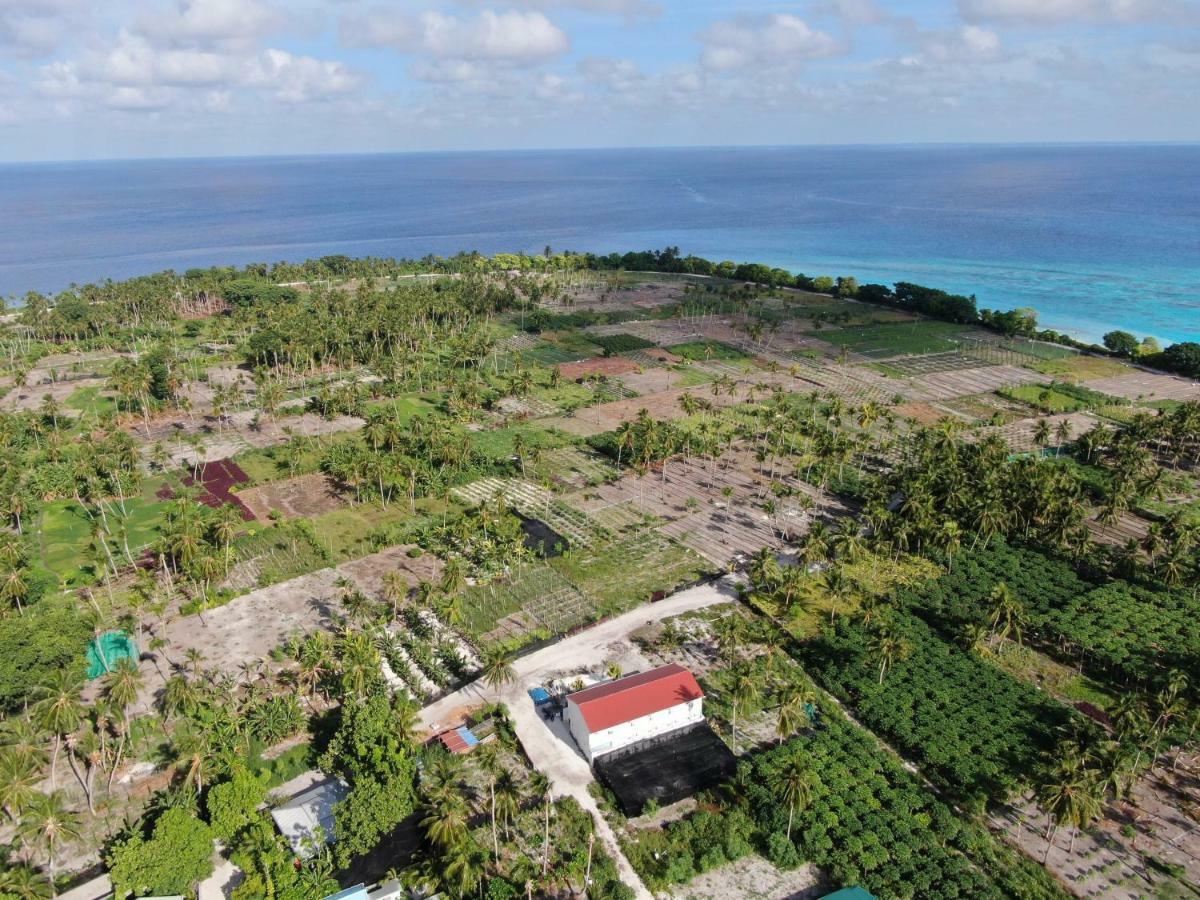 Thila Farm View Hotell Thoddoo Exteriör bild